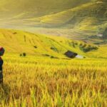 Best 21 Things to Do in Sapa, Vietnam